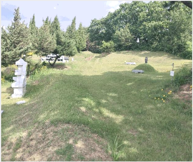 ÅäÁö(ÀÓ¾ß) »çÁø1 | ÆÄÁֽà Àû¼º¸é ÀÚÀ帮 | 2025Ÿ°æ63280 | ÅäÁö(ÀÓ¾ß)°æ¸Å
