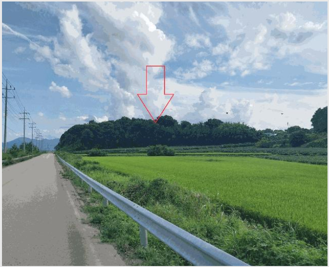 ÅäÁö(Àü) »çÁø1 | °íⱺ Èï´ö¸é ¿ë¹Ý¸® | 2025Ÿ°æ30419 | ÅäÁö(Àü)°æ¸Å
