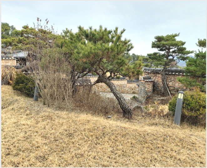 ÅäÁö(°ú¼ö¿ø) »çÁø1 | °í¾ç½Ã Àϻ굿±¸ »ç¸®Çöµ¿ | 2015Ÿ°æ15050 | ÅäÁö(°ú¼ö¿ø)°æ¸Å