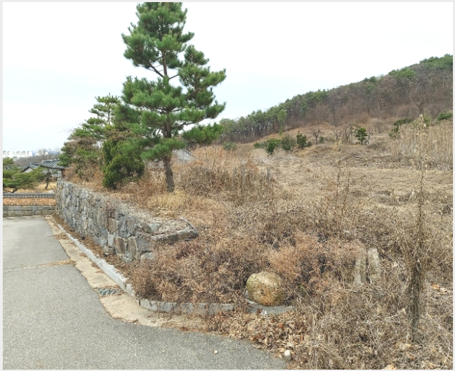 ÅäÁö(°ú¼ö¿ø) »çÁø1 | °í¾ç½Ã Àϻ굿±¸ »ç¸®Çöµ¿ | 2015Ÿ°æ15050 | ÅäÁö(°ú¼ö¿ø)°æ¸Å