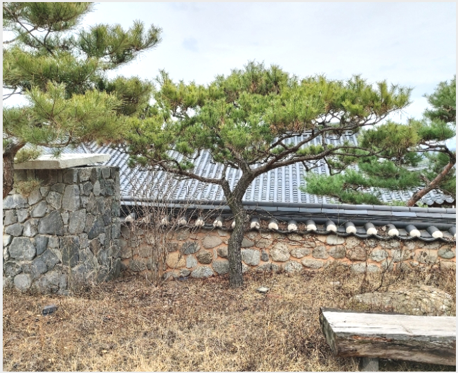 ÅäÁö(°ú¼ö¿ø) »çÁø1 | °í¾ç½Ã Àϻ굿±¸ »ç¸®Çöµ¿ | 2015Ÿ°æ15050 | ÅäÁö(°ú¼ö¿ø)°æ¸Å