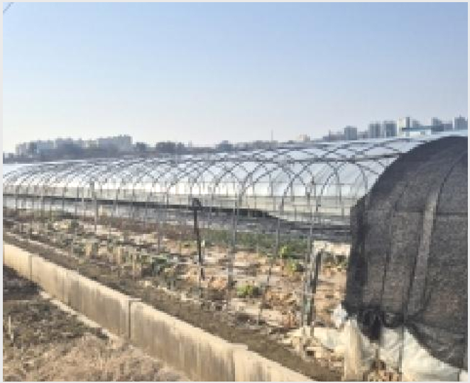 ÅäÁö(´ä) »çÁø1 | ³ªÁֽà »êÆ÷¸é ¸Å¼º¸® | 2025Ÿ°æ8244 | ÅäÁö(´ä)°æ¸Å