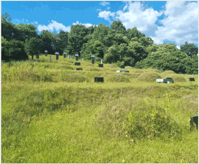 ÅäÁö(ÀÓ¾ß) »çÁø1 | ¾çÆò±º ÁöÆò¸é ¼ö°î¸® | 2024Ÿ°æ2895 | ÅäÁö(ÀÓ¾ß)°æ¸Å