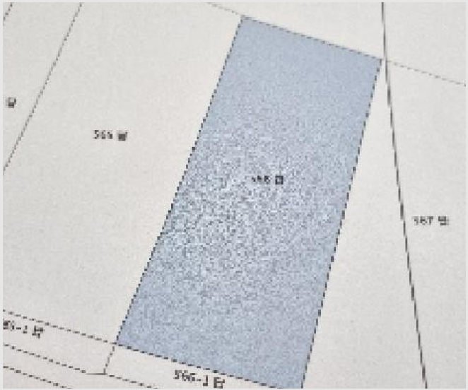 ÅäÁö(´ä) »çÁø1 | ³²¿ø½Ã ¿îºÀÀ¾ ¼Ãµ¸® | 2025Ÿ°æ1150 | ÅäÁö(´ä)°æ¸Å