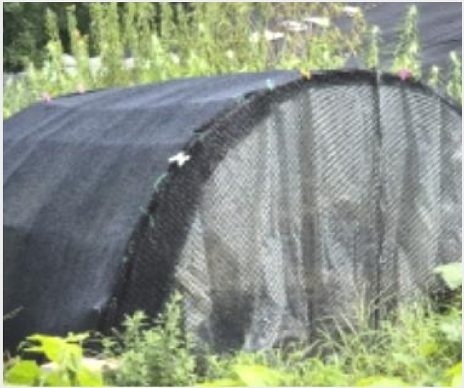 ÅäÁö(Àü) »çÁø1 | °í¾ç½Ã ´ö¾ç±¸ ÁöÃൿ | 2024Ÿ°æ5451 | ÅäÁö(Àü)°æ¸Å
