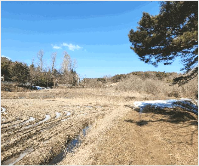 ÅäÁö(´ä) »çÁø1 | ´çÁø½Ã ¼ø¼º¸é ºÀ¼Ò¸® | 2025Ÿ°æ216 | ÅäÁö(´ä)°æ¸Å