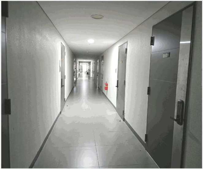 ¿ÀÇǽºÅÚ »çÁø1 | ÀüÁֽà ´öÁø±¸ ¼Ûõµ¿2°¡ | 2025Ÿ°æ992 | ¿ÀÇǽºÅÚ°æ¸Å