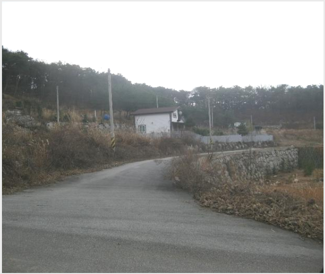ÅäÁö(Àü) »çÁø1 | À强±º ºÏÀÌ¸é ´Þ¼º¸® | 2024Ÿ°æ86940 | ÅäÁö(Àü)°æ¸Å