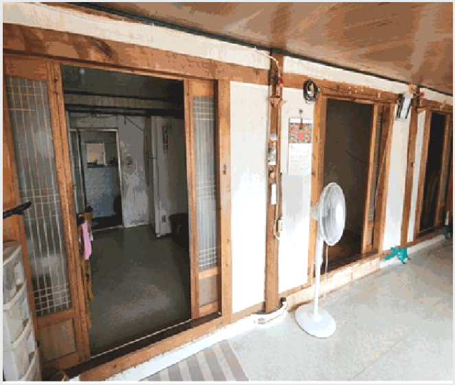 ÅäÁö(´ä) »çÁø1 | °æÁֽà °ÇõÀ¾ ´ë°î¸® | 2025Ÿ°æ10628 | ÅäÁö(´ä)°æ¸Å
