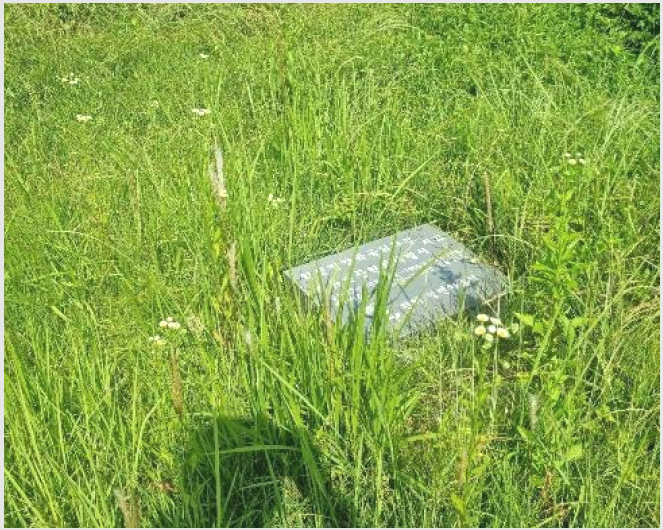 ÅäÁö(Àü) »çÁø1 | â¿ø½Ã ÀÇⱸ µ¿À¾ | 2024Ÿ°æ106941 | ÅäÁö(Àü)°æ¸Å