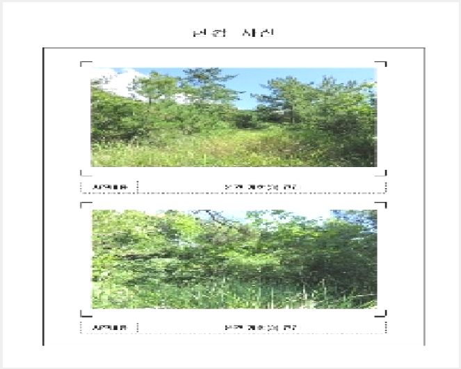 ÅäÁö(´ëÁö) »çÁø1 | ½Å¾È±º ¾ÏÅÂ¸é ±âµ¿¸® | 2025Ÿ°æ462 | ÅäÁö(´ëÁö)°æ¸Å
