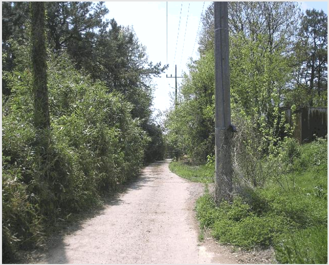 ÅäÁö(ÀÓ¾ß) »çÁø1 | ³ªÁֽà »êÆ÷¸é ³»±â¸® | 2025Ÿ°æ32564 | ÅäÁö(ÀÓ¾ß)°æ¸Å