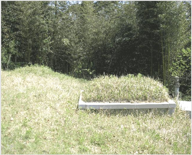 ÅäÁö(ÀÓ¾ß) »çÁø1 | ³ªÁֽà »êÆ÷¸é ³»±â¸® | 2025Ÿ°æ32564 | ÅäÁö(ÀÓ¾ß)°æ¸Å