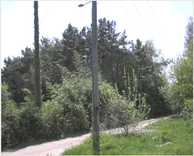 ÅäÁö(ÀÓ¾ß) »çÁø1 | ³ªÁֽà »êÆ÷¸é ³»±â¸® | 2025Ÿ°æ32564 | ÅäÁö(ÀÓ¾ß)°æ¸Å