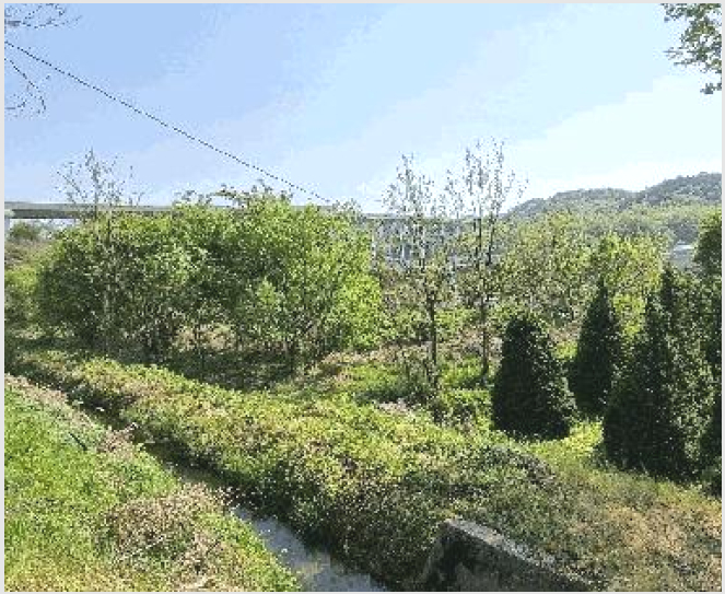 ÅäÁö(´ä) »çÁø1 | ÃæÁֽà Áß¾Óž¸é °¡È︮ | 2025Ÿ°æ934 | ÅäÁö(´ä)°æ¸Å