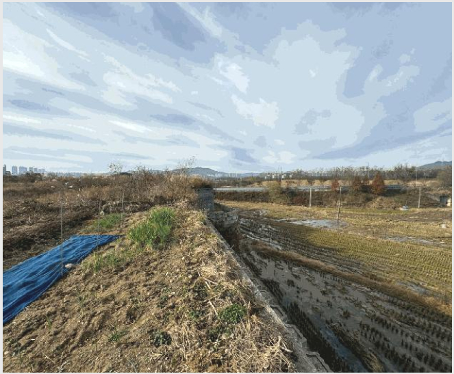 ÅäÁö(ÀÓ¾ß) »çÁø1 | ÀÌõ½Ã ¹é»ç¸é ¸ðÀü¸® | 2024Ÿ°æ6026 | ÅäÁö(ÀÓ¾ß)°æ¸Å