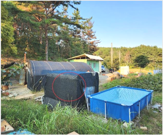 ÅäÁö(Àü) »çÁø1 | »çõ½Ã ¼Æ÷¸é ´ÙÆò¸® | 2024Ÿ°æ38003 | ÅäÁö(Àü)°æ¸Å