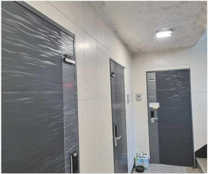 ´Ù¼¼´ë,ºô¶ó »çÁø1 | ¿À»ê½Ã ¾ç»êµ¿ 439-1 ¶óÀκô¸®Áö107 | 2024Ÿ°æ12773 | ´Ù¼¼´ë,ºô¶ó°æ¸Å