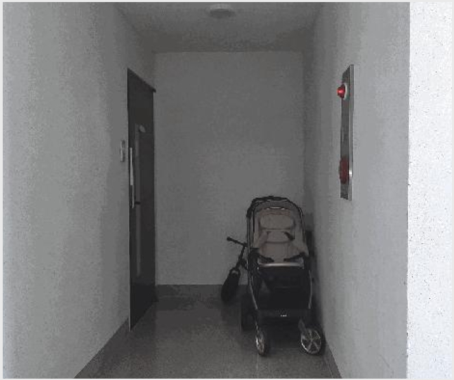 ´Ù¼¼´ë,ºô¶ó »çÁø1 | À强±º »ï°è¸é Áֻ긮 | 2025Ÿ°æ32825 | ´Ù¼¼´ë,ºô¶ó°æ¸Å