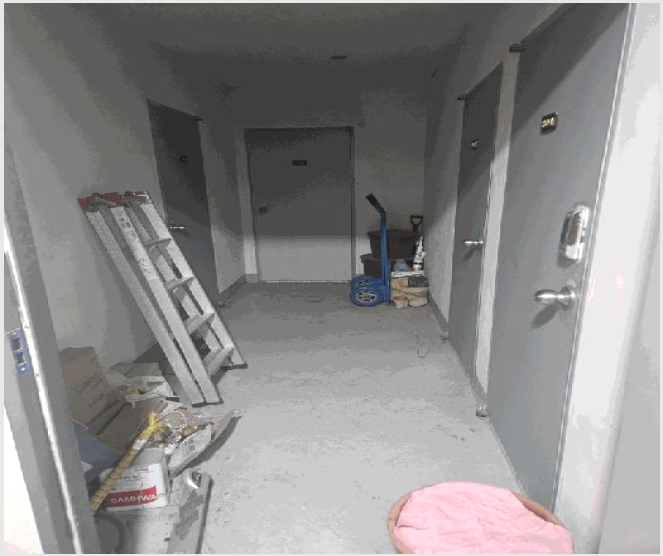 ´Ù¼¼´ë,ºô¶ó »çÁø1 | ÆÄÁֽà µ¿ÆÐµ¿ 31-5 | 2025Ÿ°æ65084 | ´Ù¼¼´ë,ºô¶ó°æ¸Å