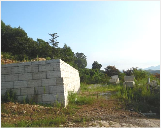 ÅäÁö(ÀÓ¾ß) »çÁø1 | ¾çÆò±º °ÇÏ¸é µ¿¿À¸® | 2023Ÿ°æ3273 | ÅäÁö(ÀÓ¾ß)°æ¸Å
