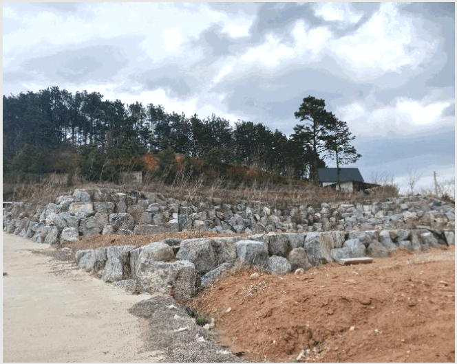 ÅäÁö(ÀÓ¾ß) »çÁø1 | °øÁֽà ÀÇ´ç¸é ¼öÃ̸® | 2025Ÿ°æ20250 | ÅäÁö(ÀÓ¾ß)°æ¸Å
