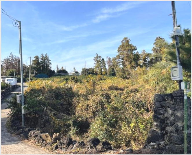 ÅäÁö(Àü) »çÁø1 | ¼±ÍÆ÷½Ã °Á¤µ¿ 866-1 | 2024Ÿ°æ13649 | ÅäÁö(Àü)°æ¸Å