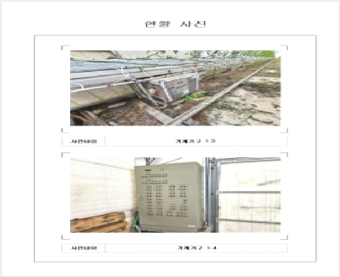 ÅäÁö(´ä) »çÁø1 | ¿µ¾Ï±º ±º¼¸é ¸ðÁ¤¸® | 2026Ÿ°æ50119 | ÅäÁö(´ä)°æ¸Å