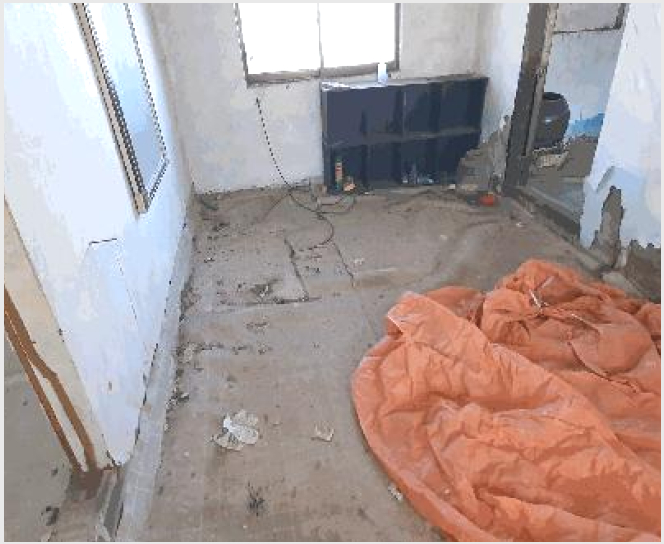 ÅäÁö(ÀÓ¾ß) »çÁø1 | ³ªÁֽà ¹Ý³²¸é ½ÅÃ̸® | 2025Ÿ°æ34142 | ÅäÁö(ÀÓ¾ß)°æ¸Å