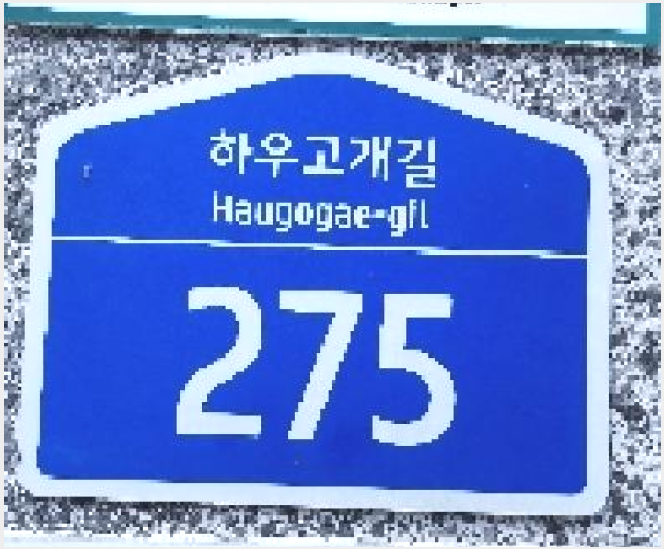 ´Ù¼¼´ë,ºô¶ó »çÁø1 | ÆÄÁֽà ¾ß´çµ¿ 79-8 | 2025Ÿ°æ4684 | ´Ù¼¼´ë,ºô¶ó°æ¸Å