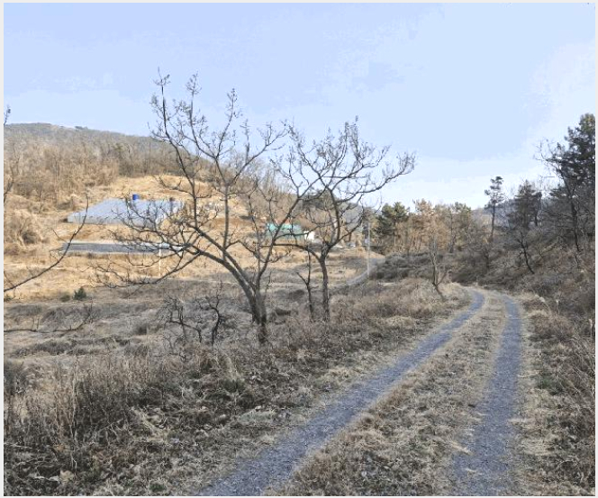 ÅäÁö(ÀÓ¾ß) »çÁø1 | â³ç±º µµÃµ¸é ¾î¸¸¸® | 2025Ÿ°æ292 | ÅäÁö(ÀÓ¾ß)°æ¸Å