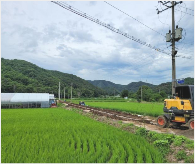 ÅäÁö(´ä) »çÁø1 | ¿¹»ê±º ´ë¼ú¸é Ȼ긮 | 2024Ÿ°æ2565 | ÅäÁö(´ä)°æ¸Å