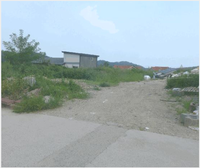 ÅäÁö(ÀÓ¾ß) »çÁø1 | °æÁֽà ¾ç³²¸é ȯ¼¸® | 2025Ÿ°æ10556 | ÅäÁö(ÀÓ¾ß)°æ¸Å