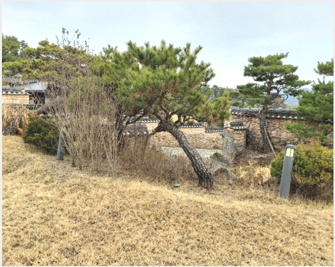 ÅäÁö(°ú¼ö¿ø) »çÁø1 | °í¾ç½Ã Àϻ굿±¸ »ç¸®Çöµ¿ | 2015Ÿ°æ15050 | ÅäÁö(°ú¼ö¿ø)°æ¸Å