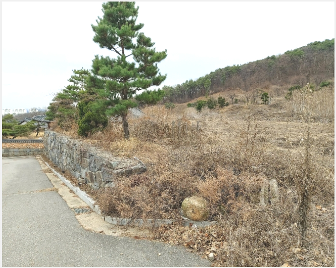 ÅäÁö(°ú¼ö¿ø) »çÁø1 | °í¾ç½Ã Àϻ굿±¸ »ç¸®Çöµ¿ | 2015Ÿ°æ15050 | ÅäÁö(°ú¼ö¿ø)°æ¸Å