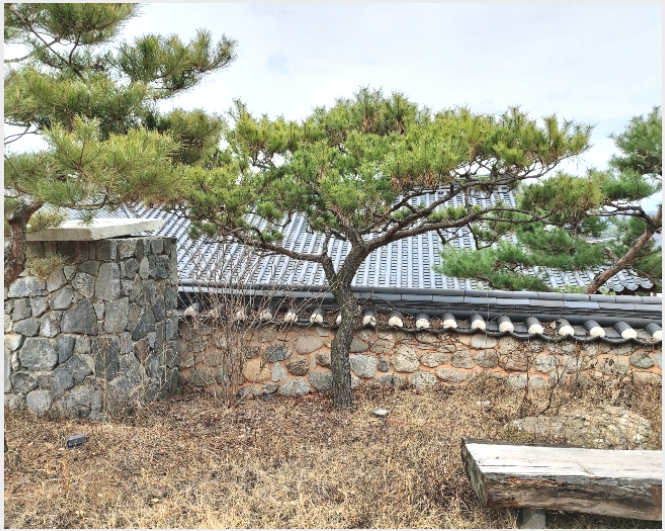 ÅäÁö(°ú¼ö¿ø) »çÁø1 | °í¾ç½Ã Àϻ굿±¸ »ç¸®Çöµ¿ | 2015Ÿ°æ15050 | ÅäÁö(°ú¼ö¿ø)°æ¸Å