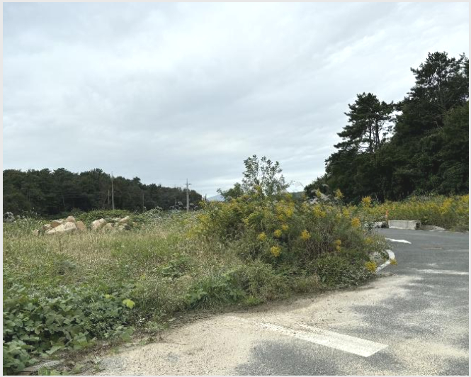 ÅäÁö(´ä) »çÁø1 | ¿ïÁÖ±º ¼»ý¸é À§¾ç¸® | 2024Ÿ°æ8340 | ÅäÁö(´ä)°æ¸Å