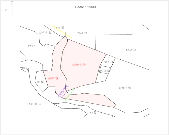 ÅäÁö(°ú¼ö¿ø) »çÁø1 | °ÅÁ¦½Ã ÇÏû¸é ¼®Æ÷¸® | 2025Ÿ°æ21999 | ÅäÁö(°ú¼ö¿ø)°æ¸Å