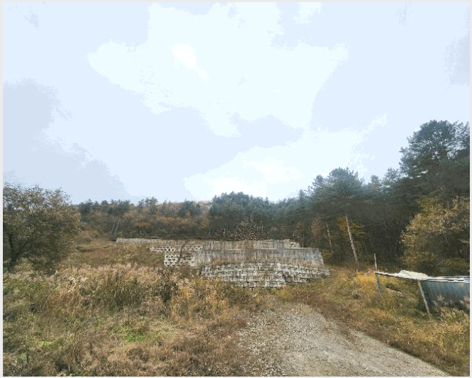 ÅäÁö(ÀÓ¾ß) »çÁø1 | °¡Æò±º Á¶Á¾¸é ´ëº¸¸® | 2025Ÿ°æ3934 | ÅäÁö(ÀÓ¾ß)°æ¸Å