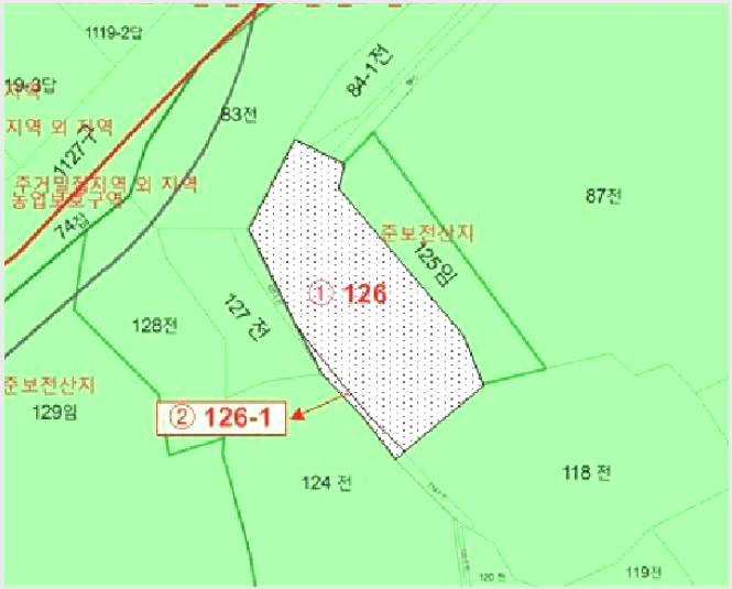 ÅäÁö(Àü) »çÁø1 | ¹«¾È±º ¹«¾ÈÀ¾ ½ÅÇи® | 2025Ÿ°æ51057 | ÅäÁö(Àü)°æ¸Å
