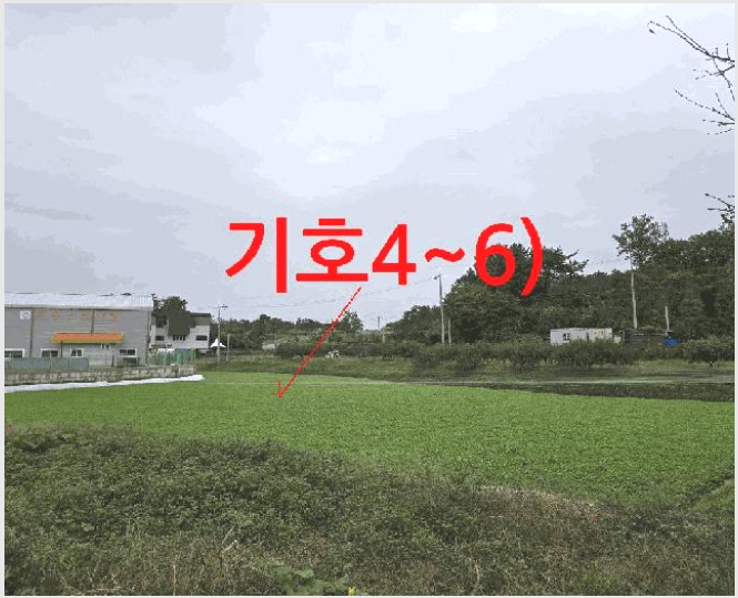 ÅäÁö(´ä) »çÁø1 | ÀüÁֽà ¿Ï»ê±¸ »ó¸²µ¿ | 2025Ÿ°æ970 | ÅäÁö(´ä)°æ¸Å