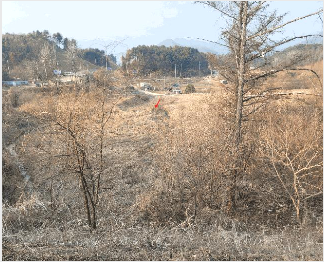 ÅäÁö(´ä) »çÁø1 | °¡Æò±º °¡ÆòÀ¾ ´ÞÀü¸® | 2025Ÿ°æ71327 | ÅäÁö(´ä)°æ¸Å