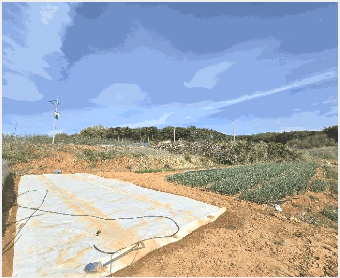 ÅäÁö(Àü) »çÁø1 | ´çÁø½Ã ¼®¹®¸é »ïºÀ¸® | 2025Ÿ°æ579 | ÅäÁö(Àü)°æ¸Å