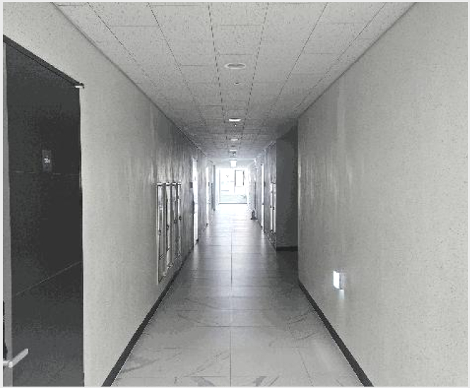¿ÀÇǽºÅÚ »çÁø1 | ¼ö¿ø½Ã ÆÈ´Þ±¸ °íµîµ¿ | 2025Ÿ°æ55971 | ¿ÀÇǽºÅÚ°æ¸Å