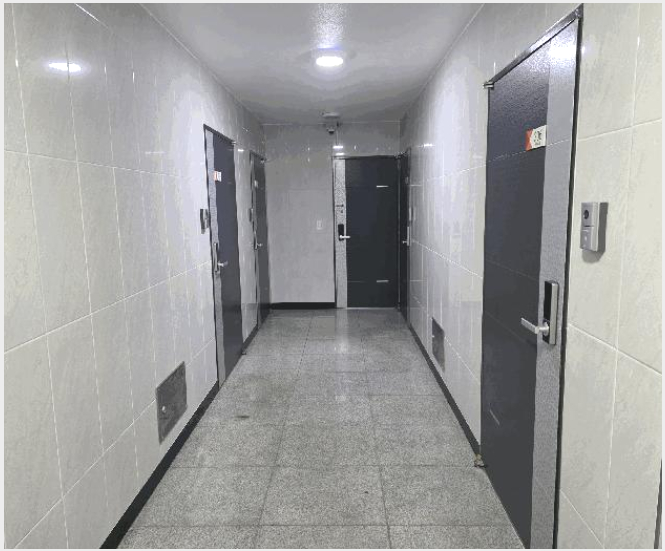 ´Ù°¡±¸ÁÖÅà »çÁø1 | ³²¾çÁֽà ¿À³²À¾ ¾çÁö¸® | 2025Ÿ°æ478 | ´Ù°¡±¸ÁÖÅðæ¸Å
