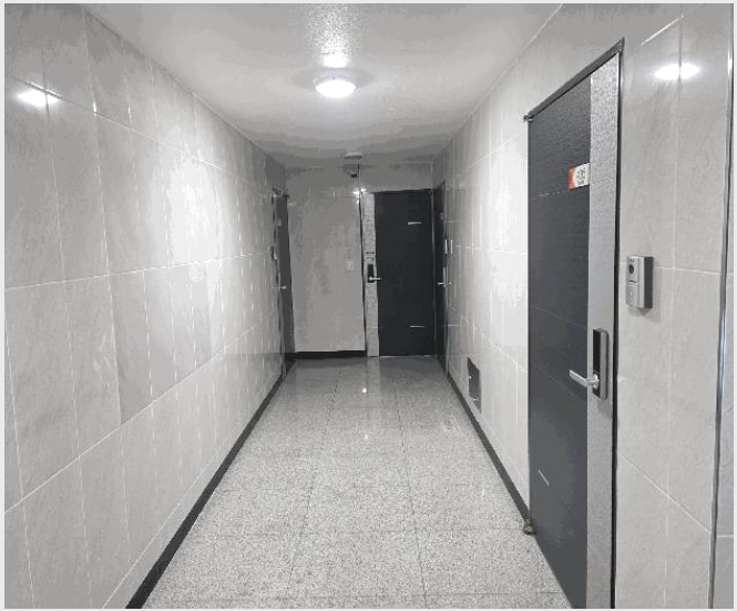 ´Ù°¡±¸ÁÖÅà »çÁø1 | ³²¾çÁֽà ¿À³²À¾ ¾çÁö¸® | 2025Ÿ°æ478 | ´Ù°¡±¸ÁÖÅðæ¸Å