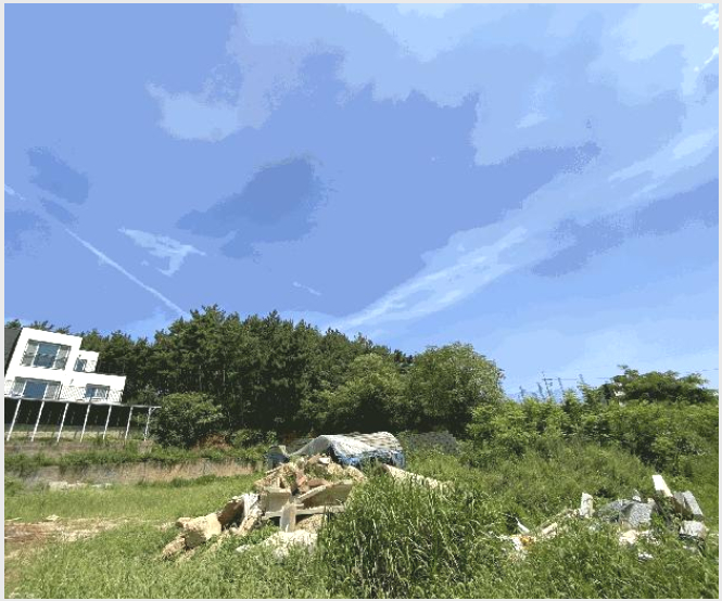 ÅäÁö(ÀÓ¾ß) »çÁø1 | ¾È»ê½Ã ´Ü¿ø±¸ ´ëºÎµ¿µ¿ | 2025Ÿ°æ52816 | ÅäÁö(ÀÓ¾ß)°æ¸Å