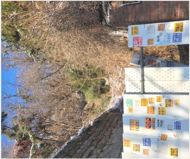 ÅäÁö(´ëÁö) »çÁø1 | Á¾·Î±¸ Æò⵿ 386-7 | 2025Ÿ°æ104499 | ÅäÁö(´ëÁö)°æ¸Å