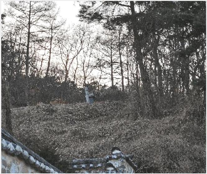 ÅäÁö(ÀÓ¾ß) »çÁø1 | ûÁֽà »ó´ç±¸ °¡´ö¸é | 2024Ÿ°æ64327 | ÅäÁö(ÀÓ¾ß)°æ¸Å
