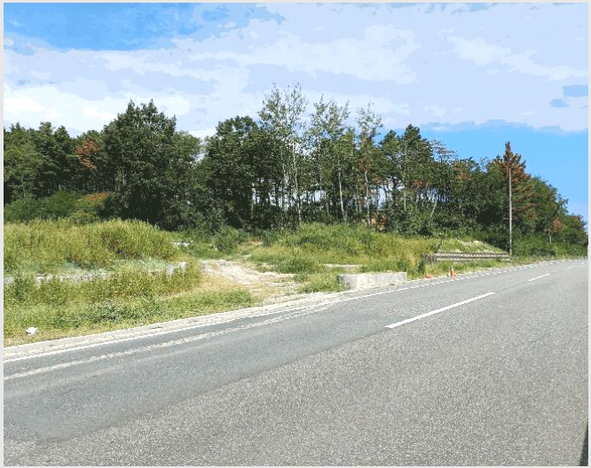 ÅäÁö(ÀÓ¾ß) »çÁø1 | Æ÷Ç׽à ºÏ±¸ ûÇϸé | 2025Ÿ°æ4007 | ÅäÁö(ÀÓ¾ß)°æ¸Å